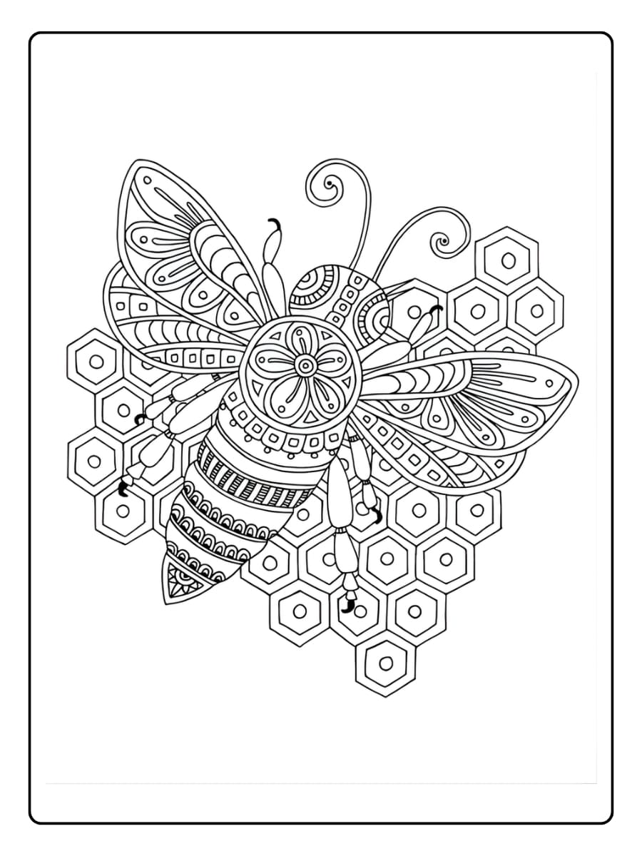 Uil mandala met grote ogen Uil mandala met grote ogen