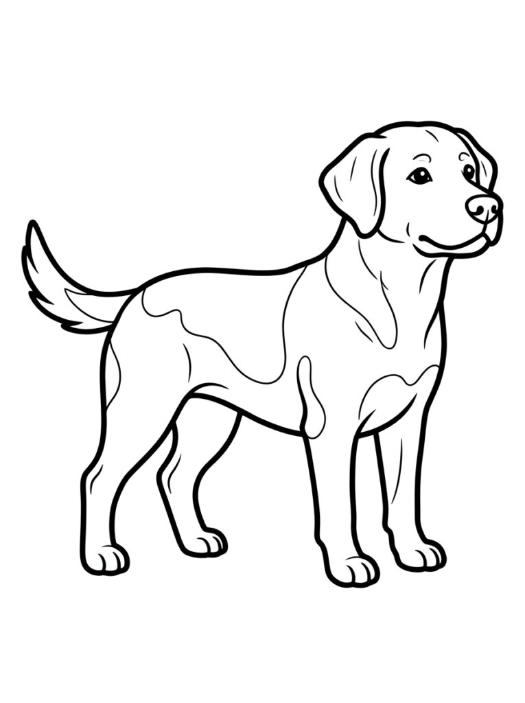 Hond staat met staart omhoog en kijkt opzij